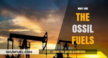 Understanding Fossil Fuels: Origins, Uses, and Environmental Impact Explained