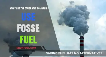 Why Japan Relies on Fossil Fuels: Exploring the Complex Reasons