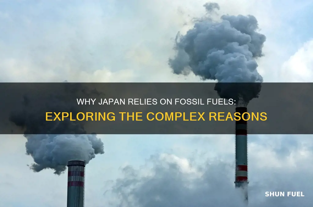 what are the other why do japan use fosse fuel