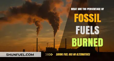 Fossil Fuels: Burning Through Our Reserves