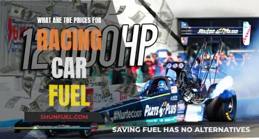 Racing Car Fuel: Understanding the Cost of Performance
