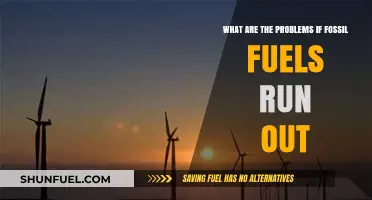 The World Without Fossil Fuels: Problems and Solutions