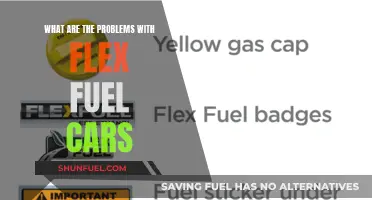 Flex Fuel Cars: Problems and Drawbacks Explained