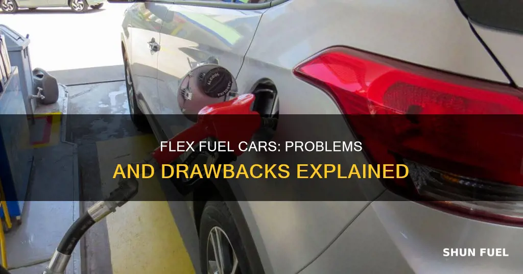 what are the problems with flex fuel cars
