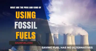 Fossil Fuels: Balancing Energy Needs with Environmental Consequences