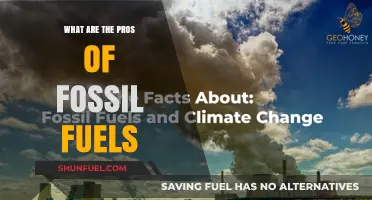 Fossil Fuels: Reliable Energy Sources With Pros