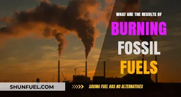 The Dark Side of Fossil Fuels: Burning Consequences