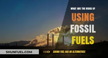 Fossil Fuels' Hidden Dangers: Environmental, Health, and Economic Risks Explained