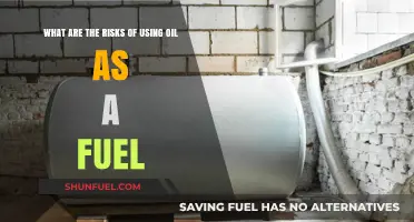 Environmental and Economic Risks of Relying on Oil as Fuel