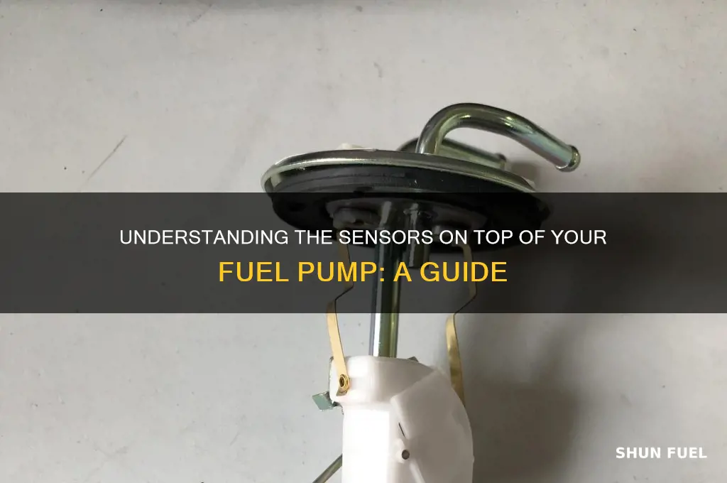 what are the sensors on top of my fuel pump