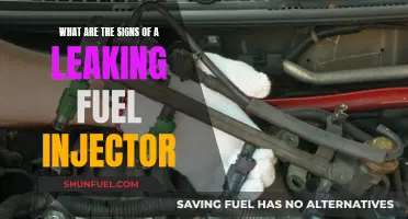 Fuel Injector Leaks: Signs Your Vehicle is Experiencing This Issue