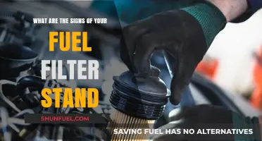 Fuel Filter: Signs of Wear and Tear