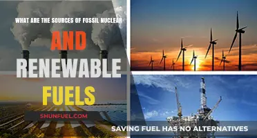 Fossil, Nuclear, and Renewable: Where Do They Come From?