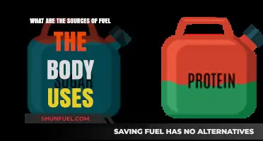 Understanding the Body's Fuel Sources: Energy for Optimal Function