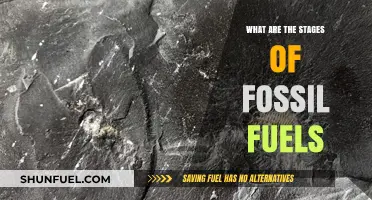 Fossil Fuels: A Journey Through the Stages