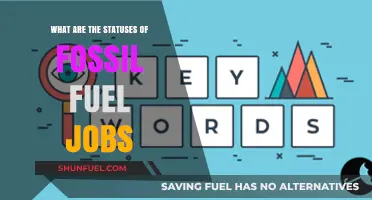 The Future of Fossil Fuel Jobs: A Transition