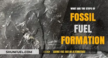 How Fossil Fuels Form: A Step-by-Step Guide