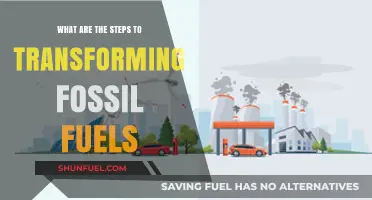 Transforming Fossil Fuels: Steps to a Sustainable Future