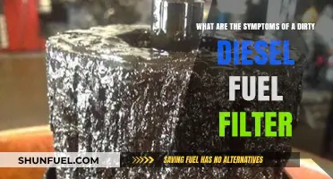 Dirty Diesel Fuel Filter: Signs Your Engine is Suffering