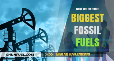 Fossil Fuel Giants: The Three Main Offenders