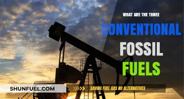 Fossil Fuels: Three Conventional Sources of Energy