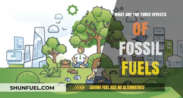 Fossil Fuels: Harmful Impacts on Climate, Health, and Environment