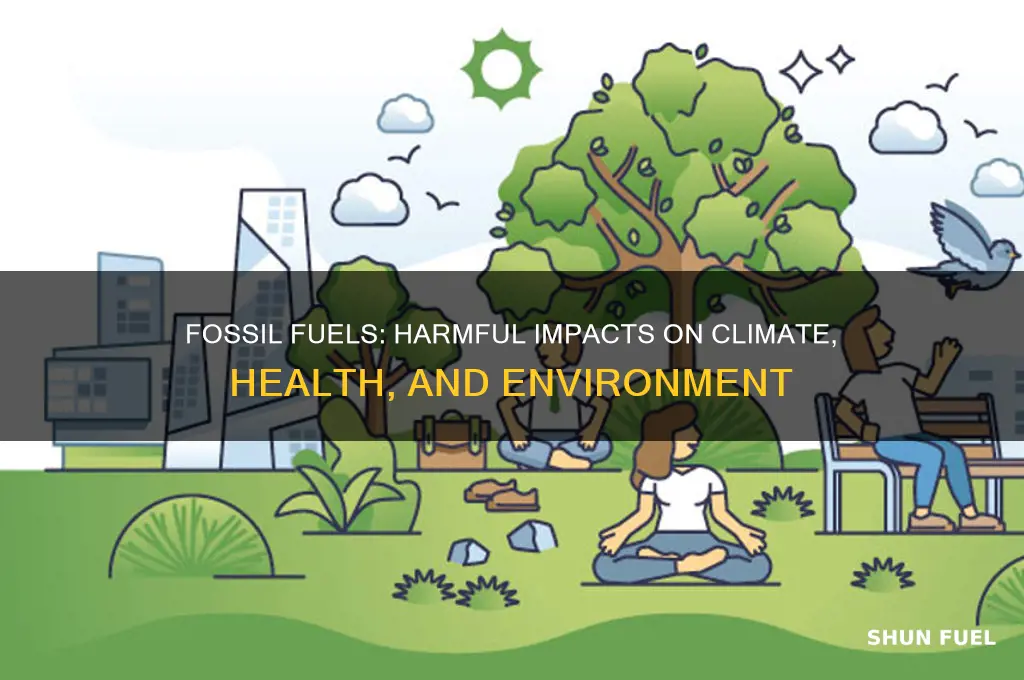 what are the three effects of fossil fuels