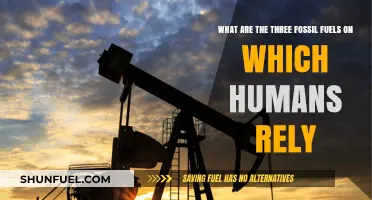 Fossil Fuels: The Three Main Sources of Energy