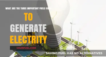 Powering the World: Three Key Fuels for Electricity Generation