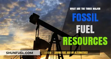 Fossil Fuel Resources: Three Key Sources