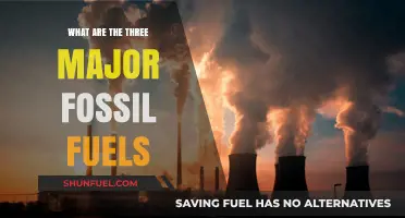 Fossil Fuels: Three Key Sources of Energy