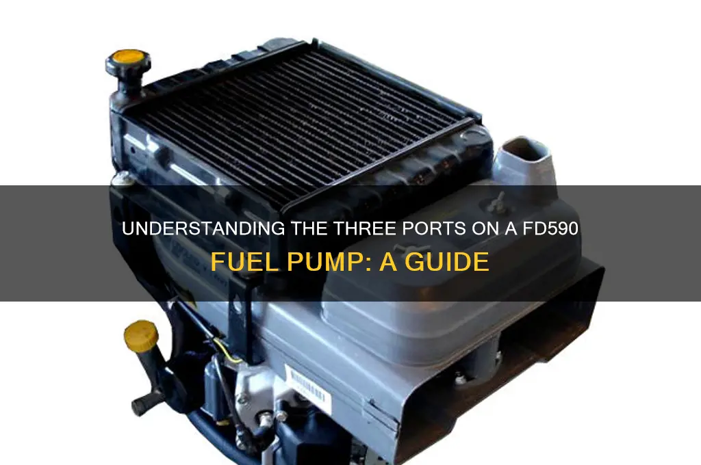 what are the three ports on a fd590 fuel pump