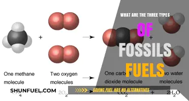Fossil Fuel Types: Three Key Sources of Energy