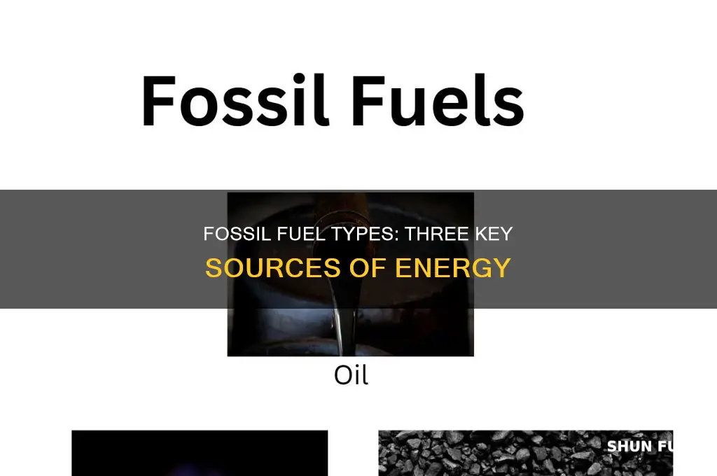 what are the three types of fossils fuels