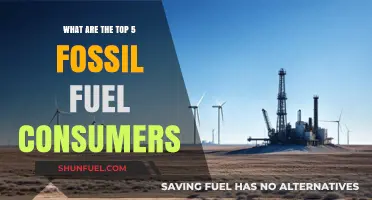 Who are the Biggest Fossil Fuel Consumers?