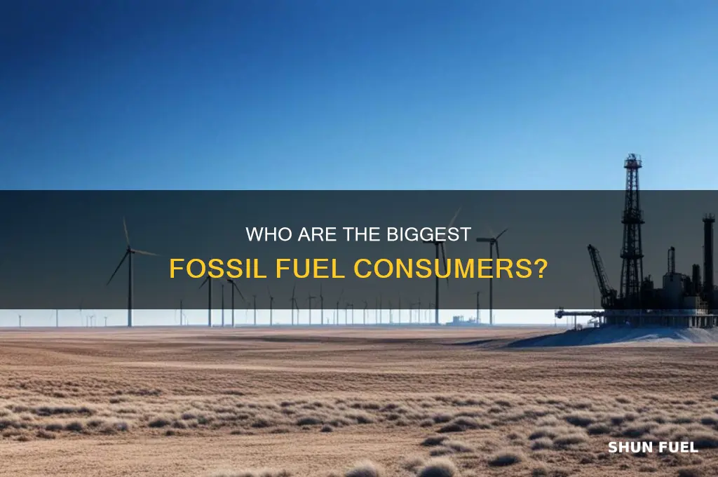 what are the top 5 fossil fuel consumers