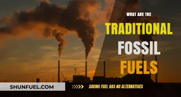 Fossil Fuels: Traditional Energy Sources and Their Impact
