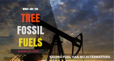 Fossil Fuels: Three Ancient Energy Sources