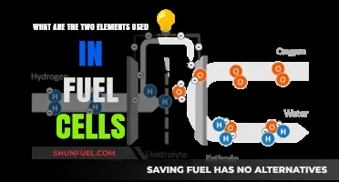 Hydrogen and Oxygen: The Key Elements Powering Fuel Cells