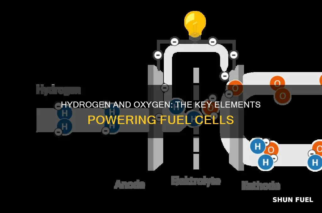 what are the two elements used in fuel cells