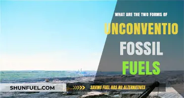 Unconventional Fossil Fuels: Two Distinct Forms Explained