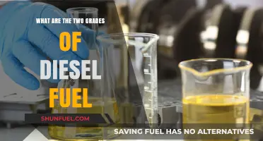 Understanding Diesel Grades: Two Distinct Types