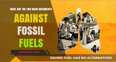 Fossil Fuels: Damaging Climate, Costly Health