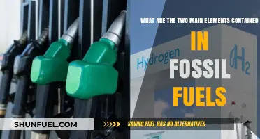 The Core of Fossil Fuels: Carbon and Hydrogen