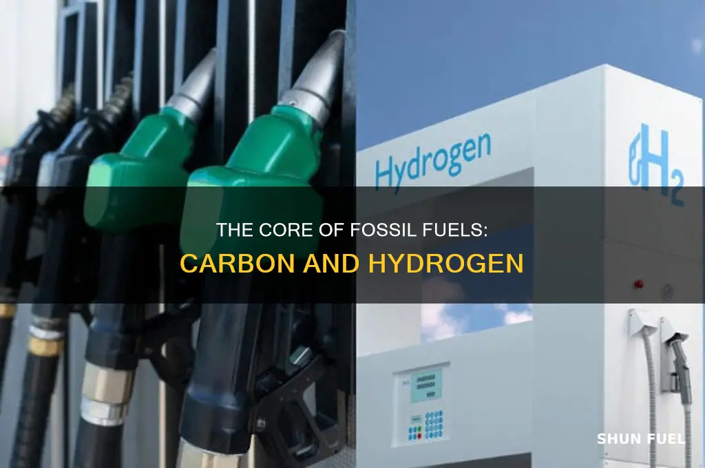 what are the two main elements contained in fossil fuels
