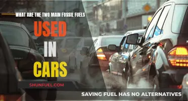 Fossil Fuels: Powering Cars with Gas and Diesel