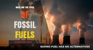 Fossil Fuel Varieties: Understanding Their Differences