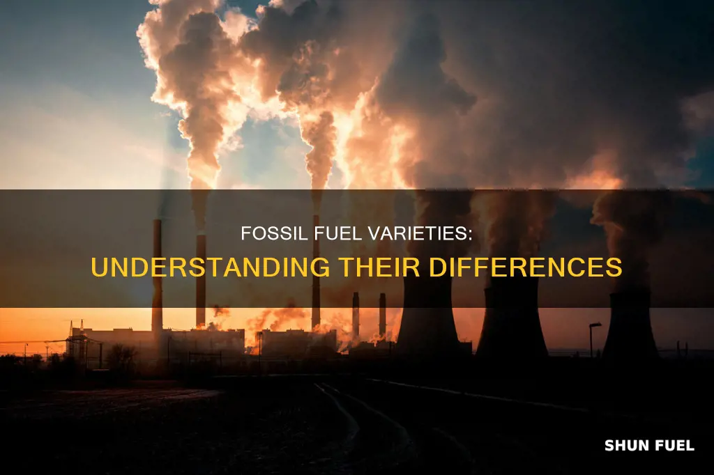 what are the types of fossil fuels