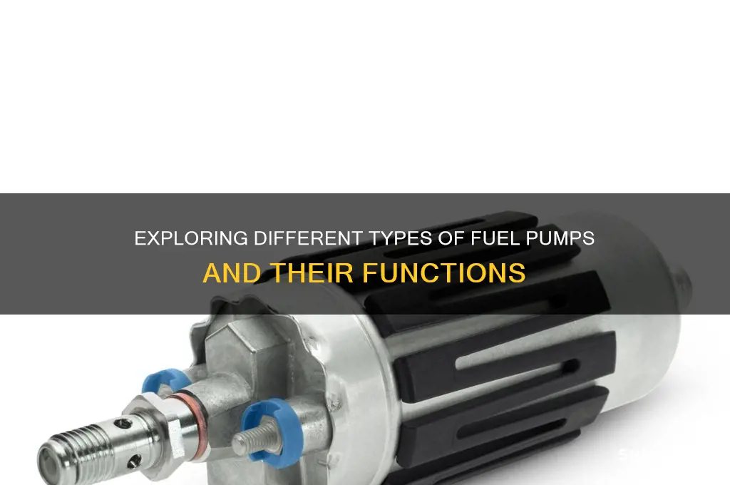 what are the types of fuel pump