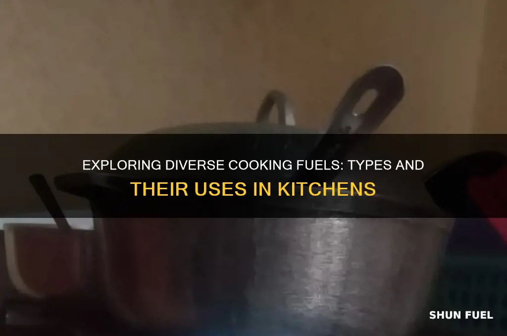 what are the types of fuels used for cooking